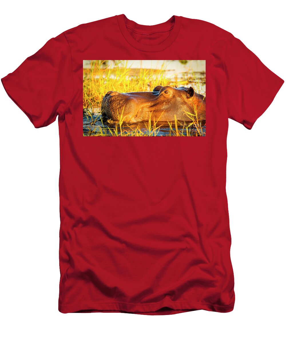 1 Hippopotamus Chobe River Tim Hester T-Shirt
