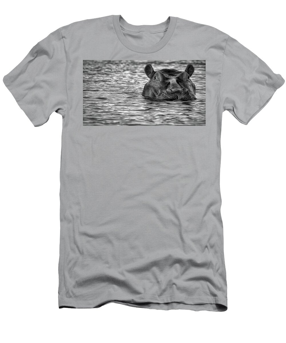 1 Up for a Breath of Air Pixabay T-Shirt