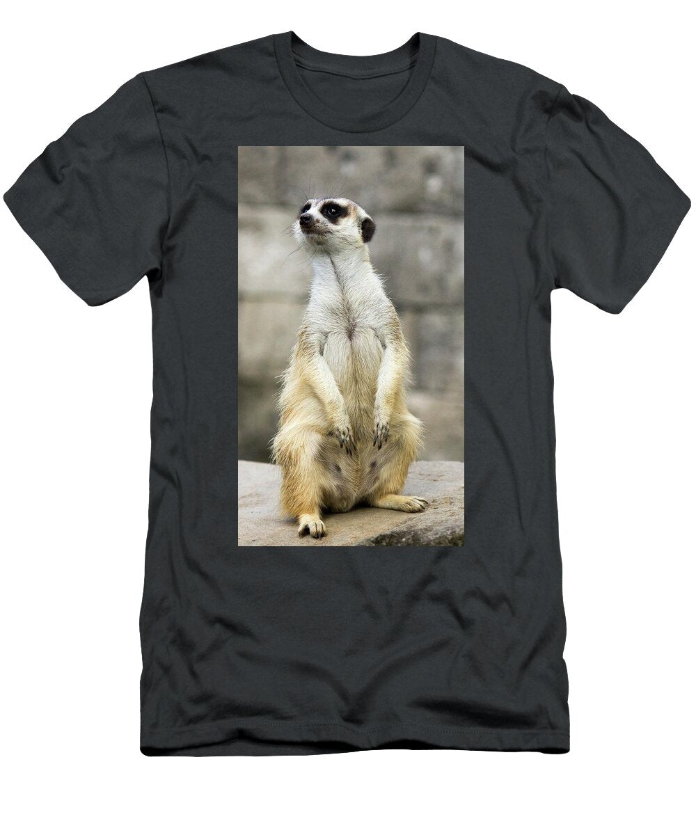 Alert Meerkat in Natural Habitat Jeramy Hinfelaar T-Shirt