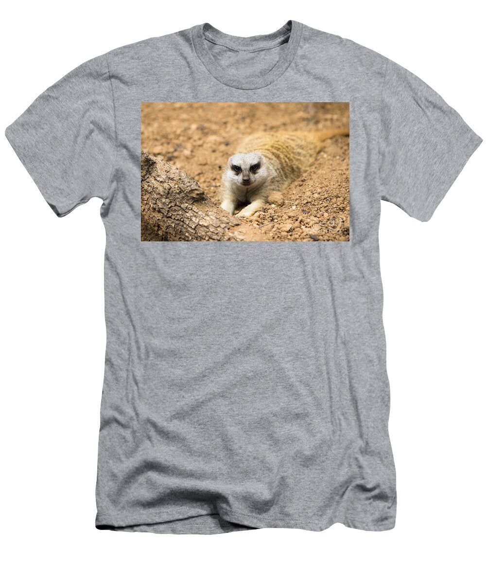 An Eye Contact with a Meerkat Ellie Teramoto T-Shirt