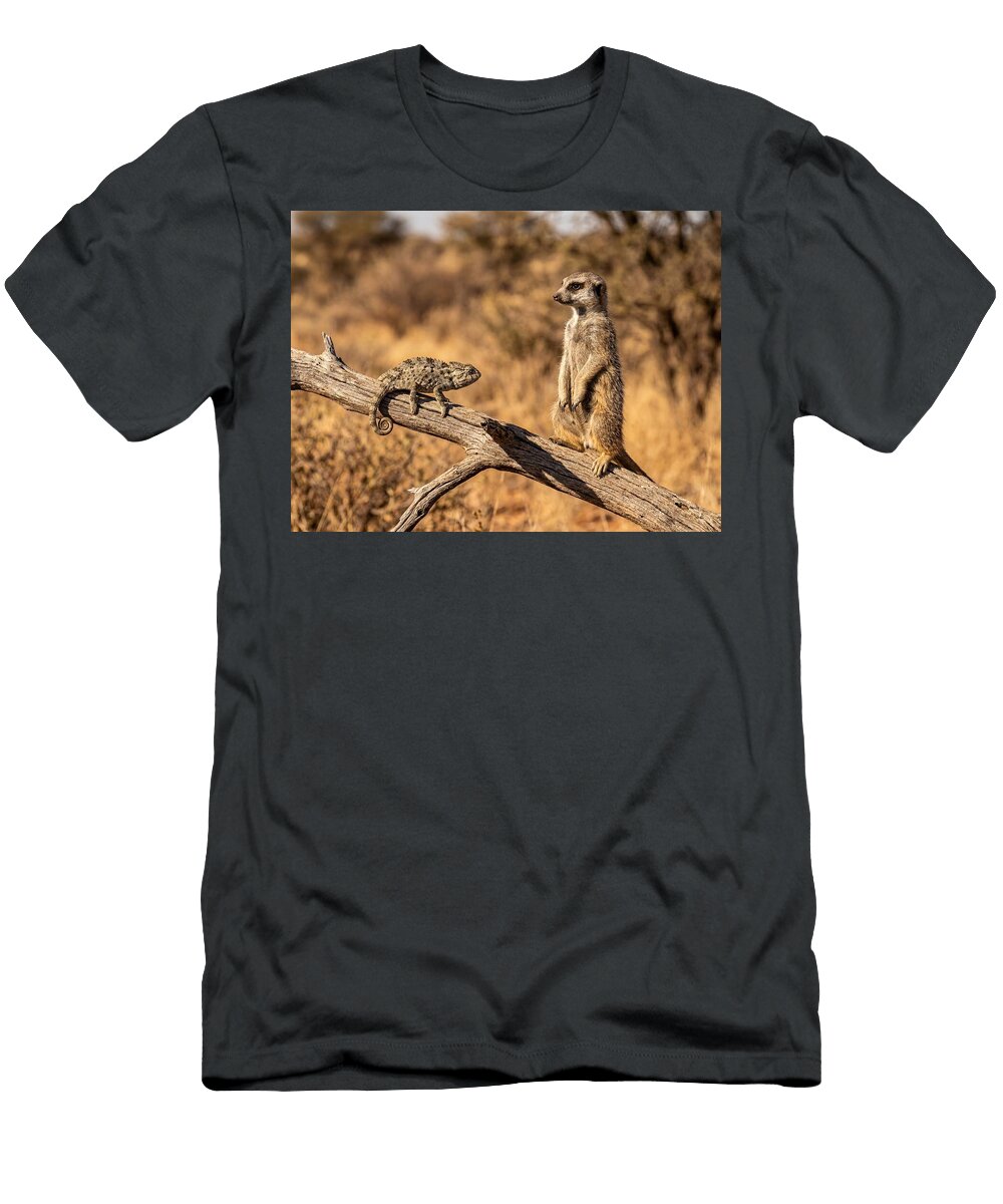 Chameleon and Meerkat Standoff Ego Crash T-Shirt