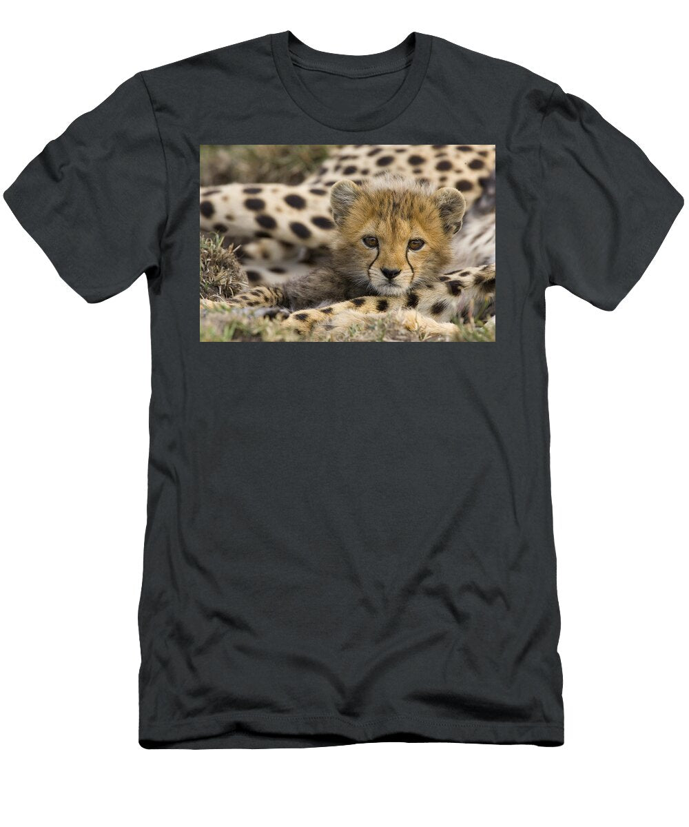 Cheetah Cub Portrait Suzi Eszterhas T-Shirt