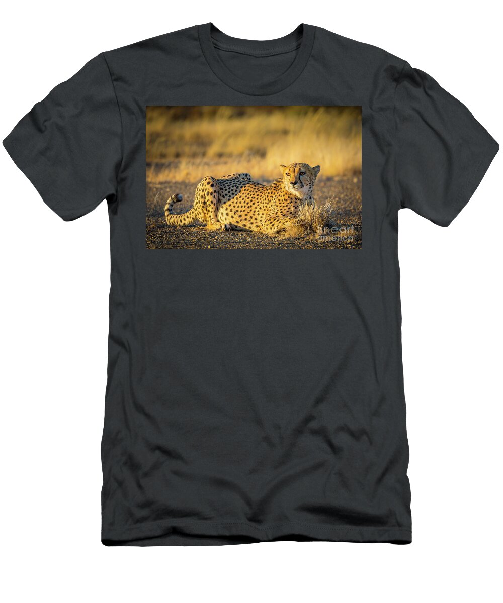 Cheetah Portrait Inge Johnsson T-Shirt