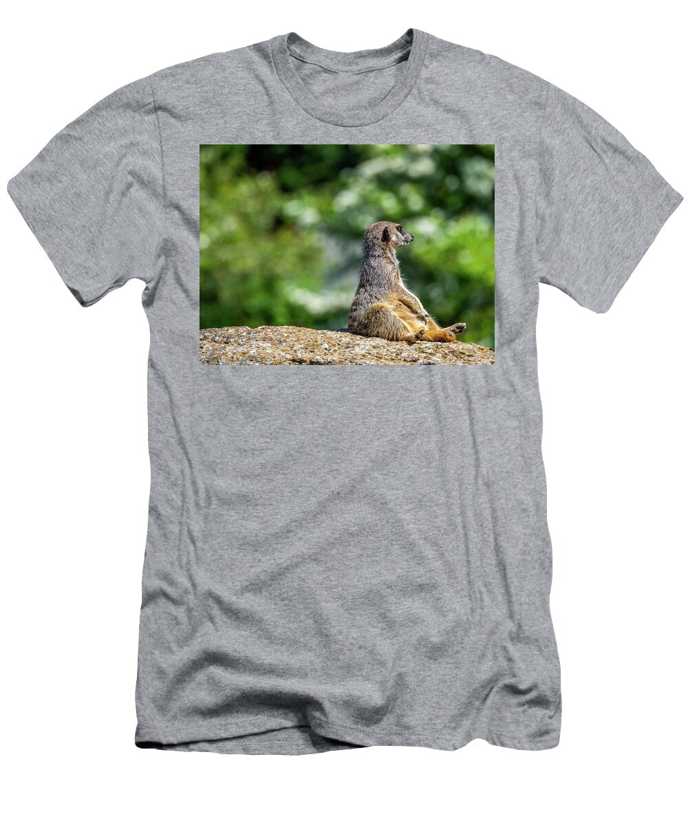 Chillaxing Angela Aird T-Shirt