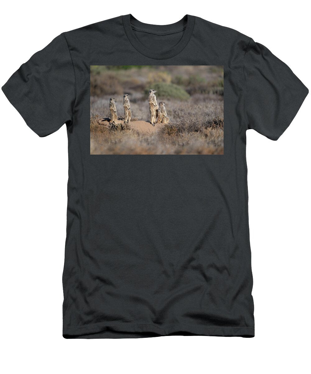 Family Ties Meerkat Family At Dusk in Klein Karoo Lex Van Doorn T-Shirt