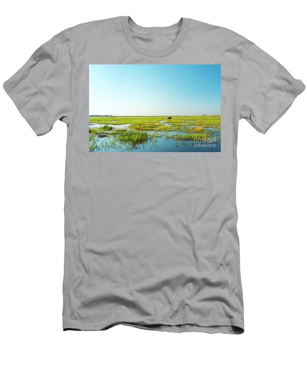 Hippo in Chobe National Park Thp Creative T-Shirt