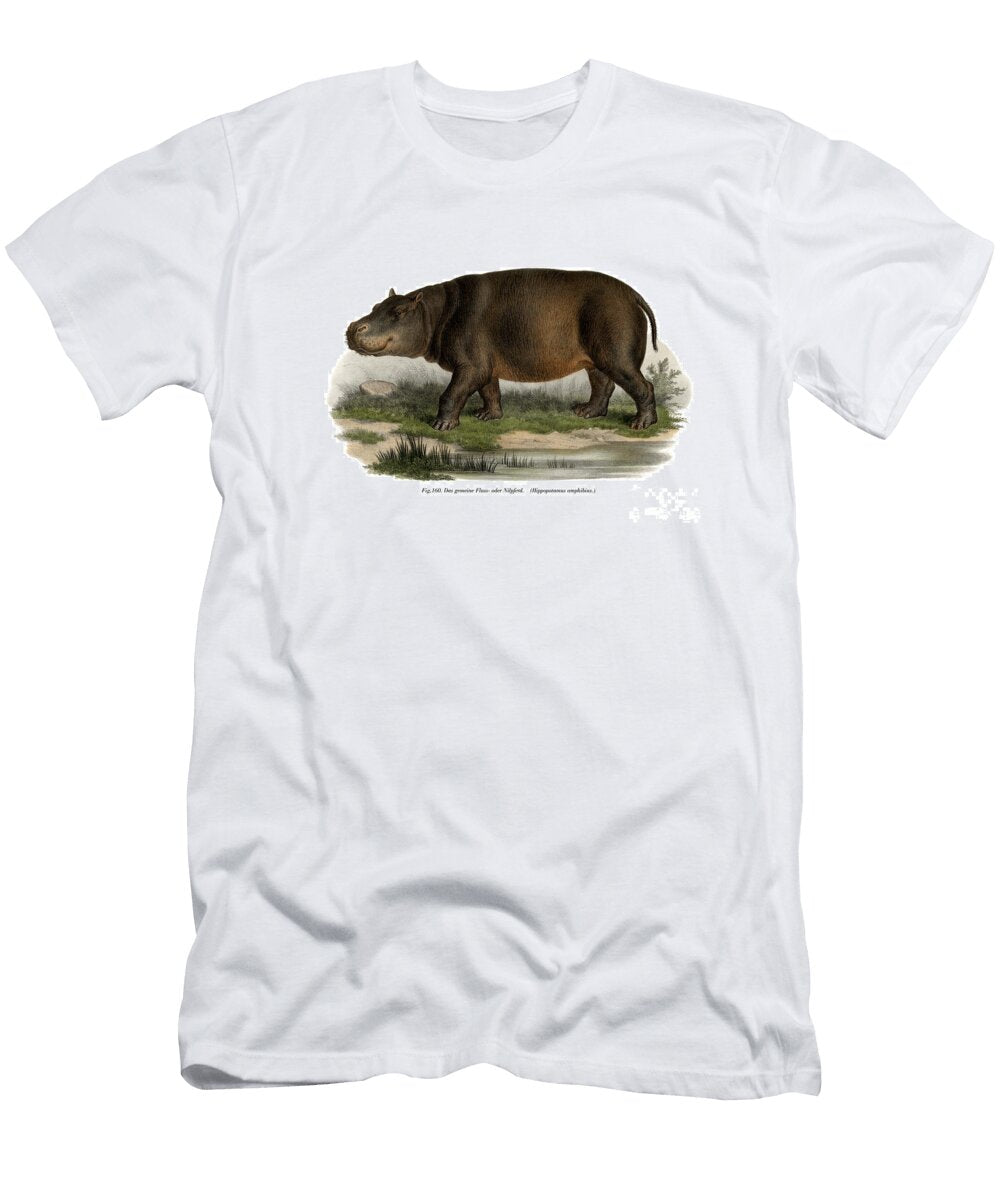 Hippopotamus 1860 German School T-Shirt