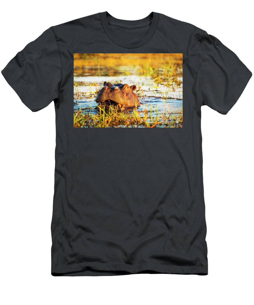 Hippopotamus Chobe River Tim Hester T-Shirt