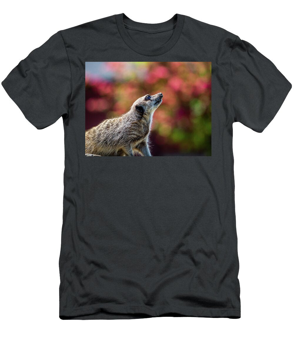 Inquisitive Angela Aird T-Shirt