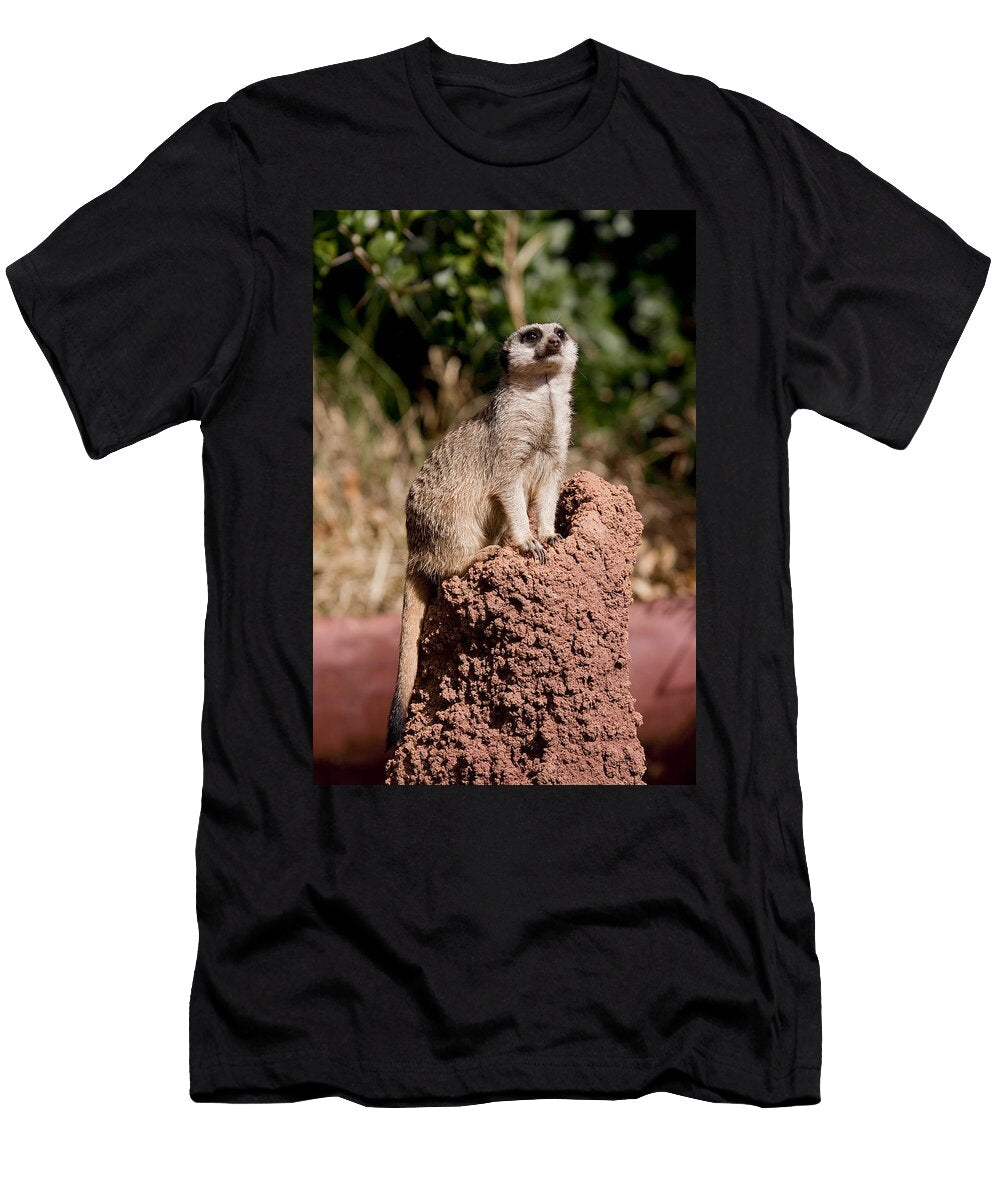Lookout Post Michelle Wrighton T-Shirt