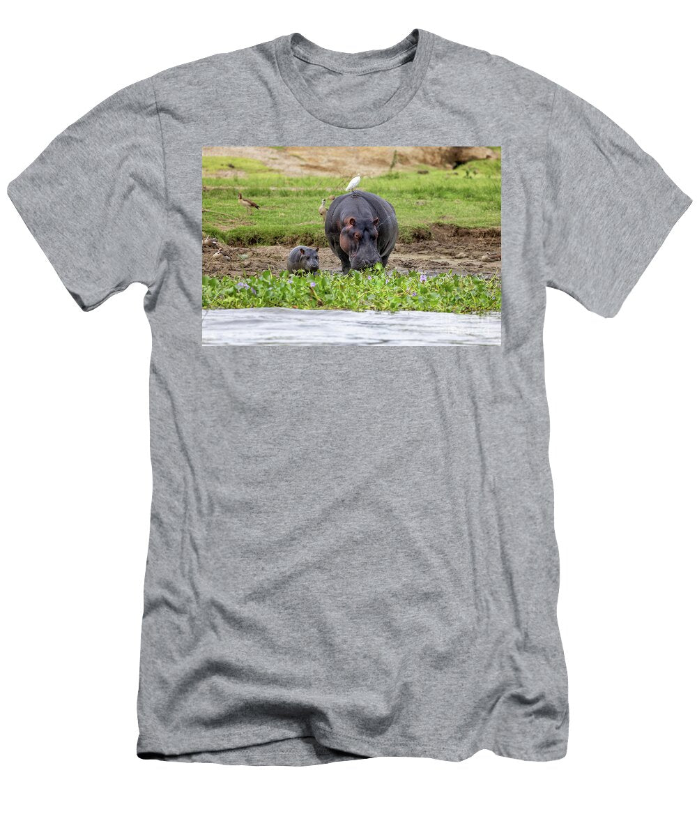 Mother and Baby Hippopotamus Hippopotamus Amphibius on the Banks of Lake Edward Queen Elizabeth National Park Uganda Jane Rix T-Shirt