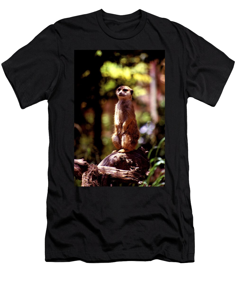 On Guard Paul W Faust Impressions of Light T-Shirt