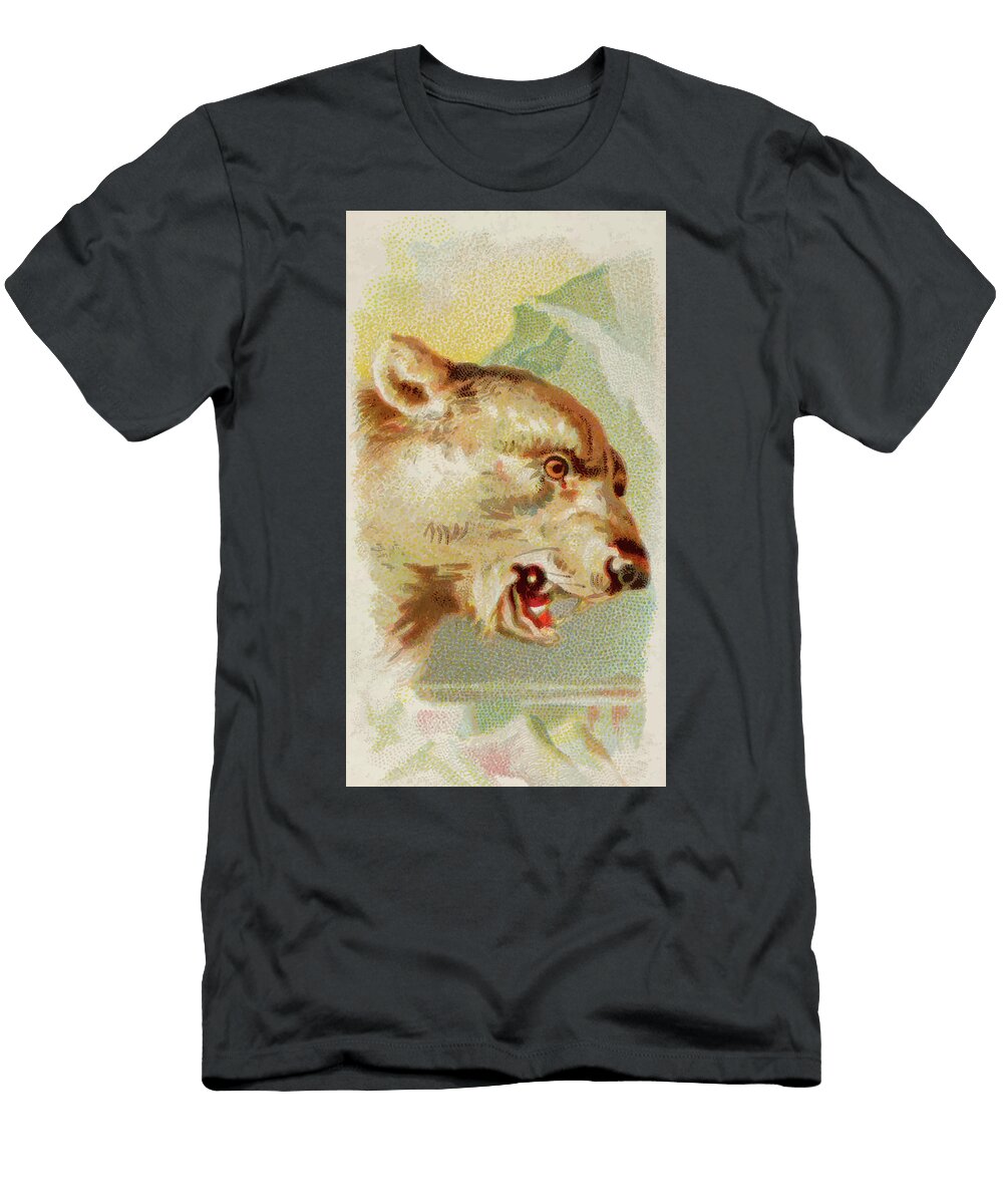 Polar Bear Vintage Animal Illustration Vintage Animal Illustrations T-Shirt