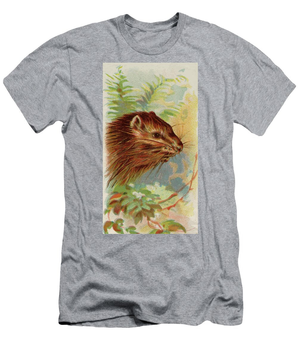 Porcupine Vintage Animal Illustration Vintage Animal Illustrations T-Shirt
