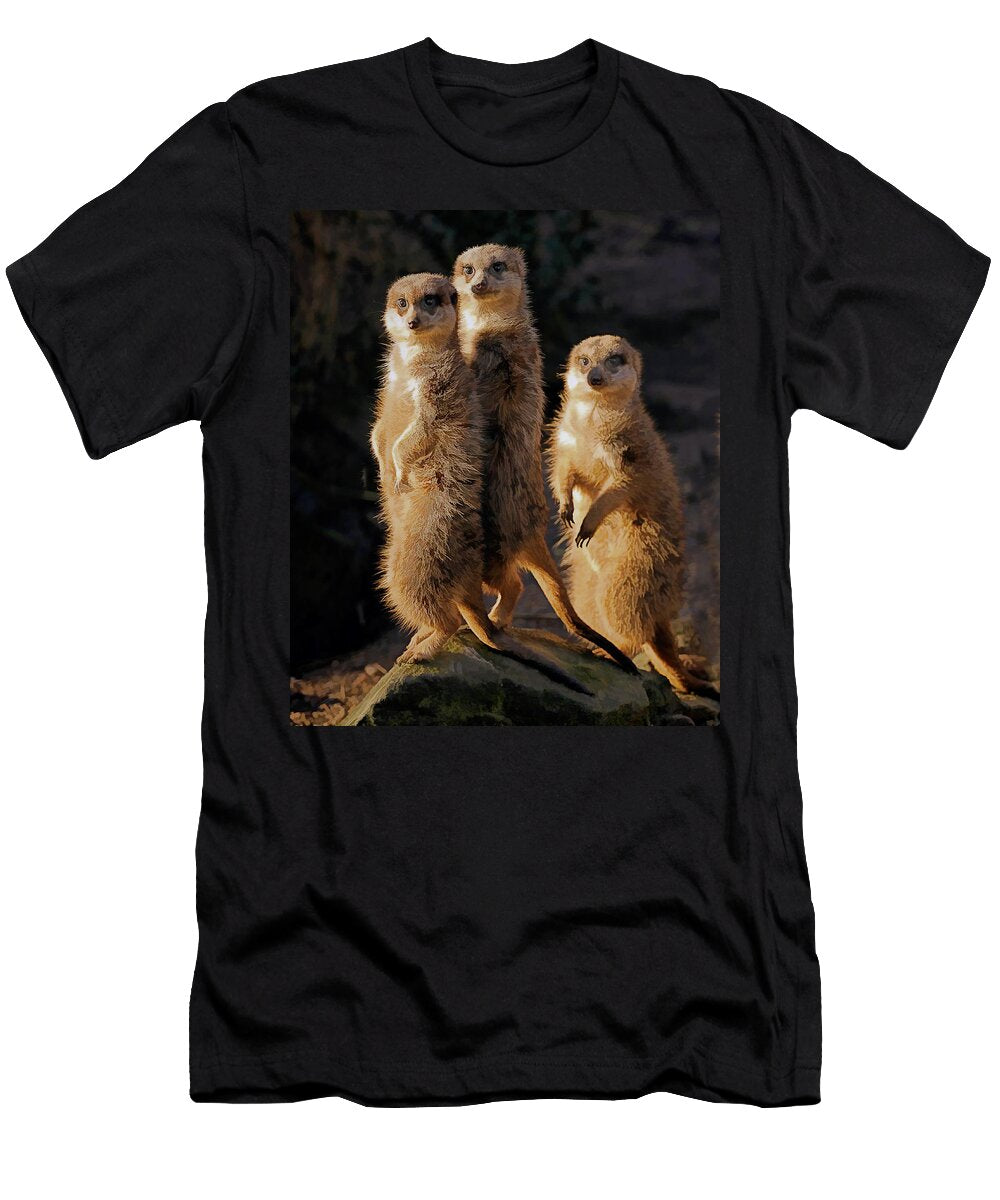 Sun Setting on the Meerkat Trio Elaine Plesser T-Shirt