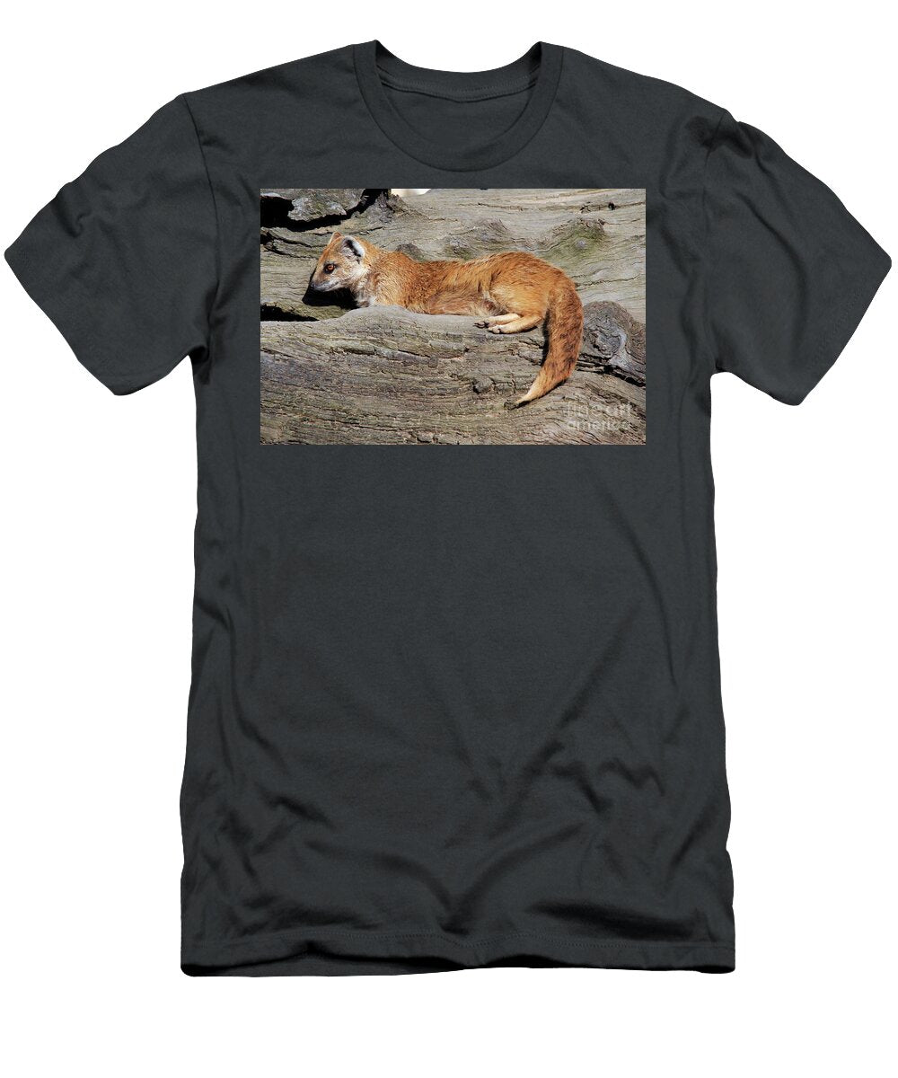 The Yellow Mongoose Sometimes Referred to As the Red Meerkat Michal Boubin T-Shirt