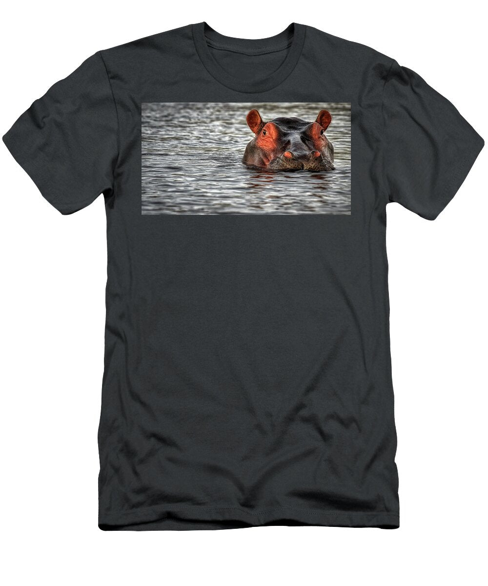Up for a Breath of Air Pixabay T-Shirt