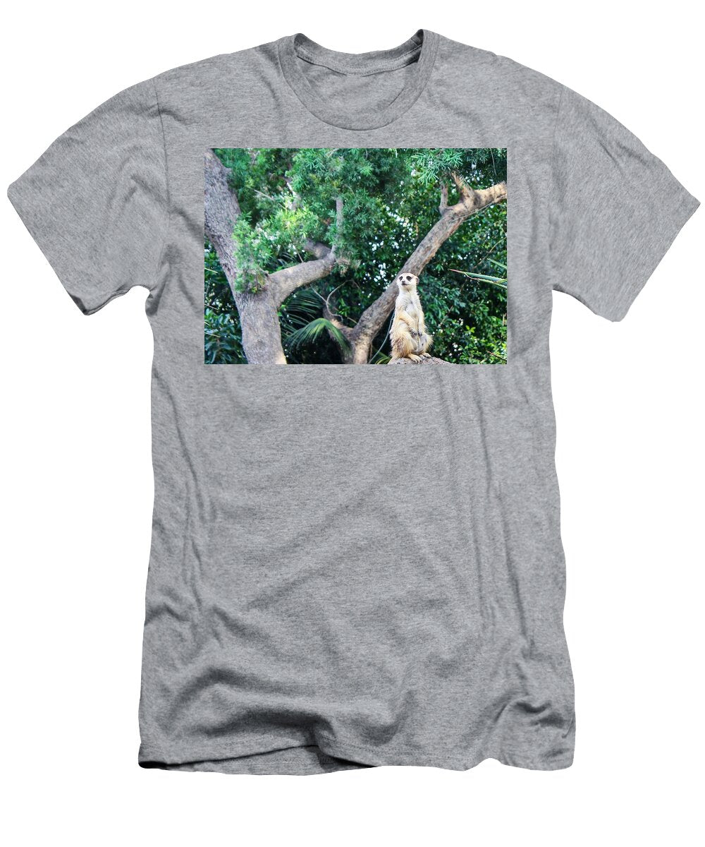 Whatchu Talkin Bout Alison Frank T-Shirt